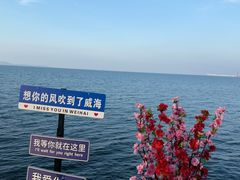 -悦海公园