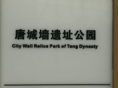 -唐城墙遗址公园