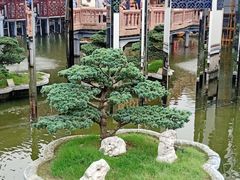 -光明悠焙(豫园店)