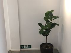 -朵朵开素食餐厅(后宰门街店)