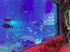 -沈阳海洋探索中心