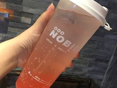 -NOBiBi
