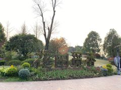 -铁山坪森林公园