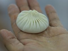 -宋都禾源·灌汤包子(汉兴路直营店)