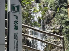 -鼎香皇高佬苏裹蒸粽