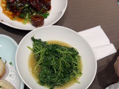 -望乡楼上海菜(日月光店)