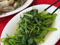-蛇口康乐快餐鱼仔档(翠苑小区店)
