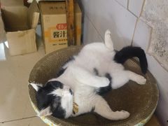 -三代人传统冒菜