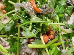 顺德捞鱼皮-清晖小苑•顺德地方菜(壹海城店)