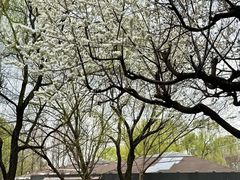 -唐城墙遗址公园