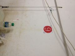 老闵田螺馆-老闵田螺馆·南昌特色(总店)