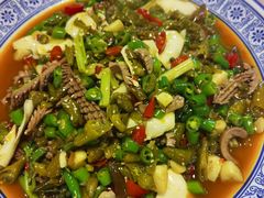 火爆双脆-新蜀会四川豆花(五羊店)