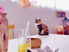 -云里小坐·小院里·团建·宴请·下午茶(三圣乡店)