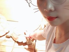 -萌宠奇缘