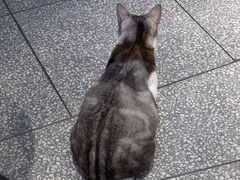 -谜盒子奇幻密室(南屏店)