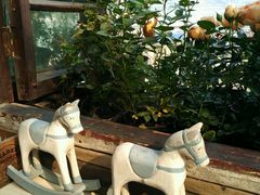 -懒鱼时光馆(沙坪坝店)