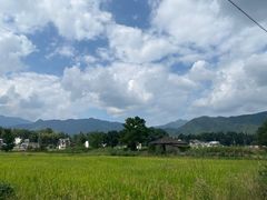 -塔川景区