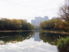 -昆山城市生态森林公园