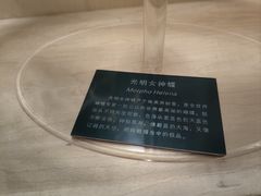 -陕西自然博物馆