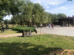 -永定河休闲森林公园