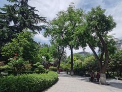 -莲湖公园