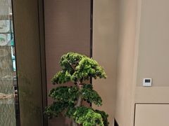 -码头鲜精致威海菜(欧乐坊店)