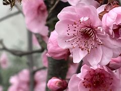 -苏州大学附属第二医院(三香院区)