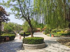 -元大都城垣遗址公园