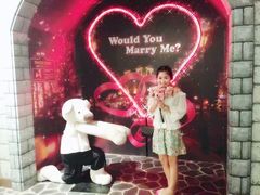 -济州岛泰迪熊博物馆