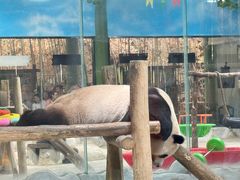 -栾川竹海野生动物园