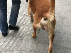 -上海世茂广场(南京东路店)