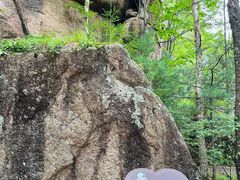 -汤旺河林海奇石景区