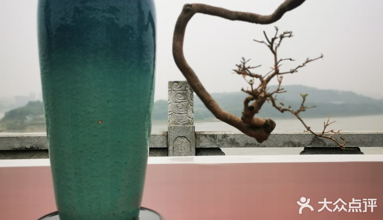 盆景艺术，匠心独具