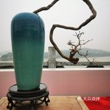 盆景艺术，匠心独具