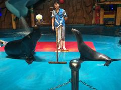 -烟台海昌鲸鲨海洋公园