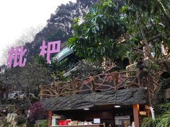 -枇杷园食为鲜火锅(南山店)