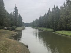 -黄海国家森林公园