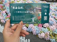 -黄海国家森林公园