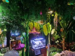 -酷嗒动物文化乐园(cutezoo西溪乐天城店)