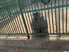 -秦皇岛野生动物园