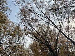 -野鸭湖国家湿地公园