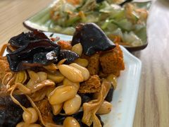 -白记饺子馆多伦道店