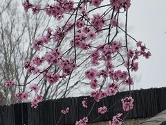 -武汉紫薇都市田园