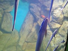 -福州罗源湾海洋世界旅游区