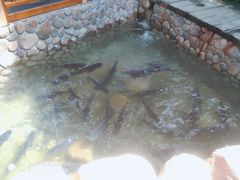 -耕渔小院·湖南鱼鲜(望城店)
