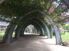 -布里斯班南岸公园