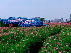 -汉江湾体育公园