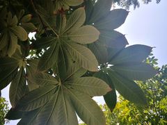 -北方工业大学学生餐厅