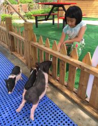 -萌宠亲子动物乐园(槐房万达店)