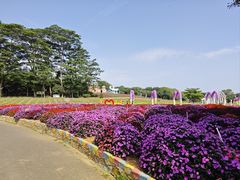 -松山湖梦幻百花洲